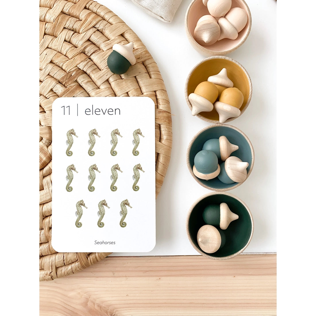 Acorn Sorting Set