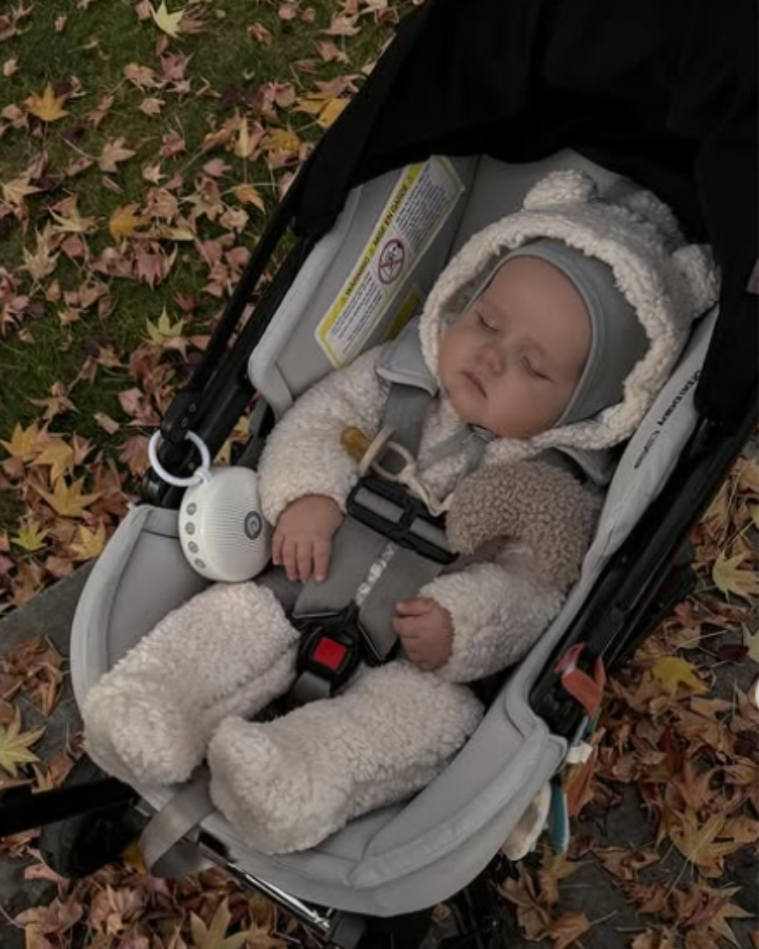 Moon Pacifier Holder