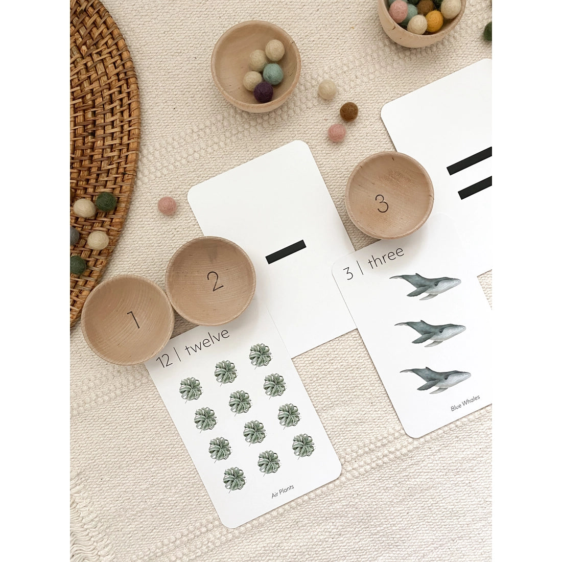 Nature 123 Flash Cards