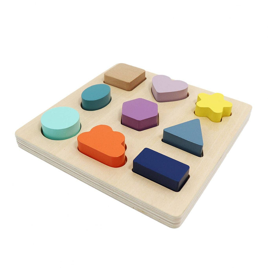 Color and Shape Sorter