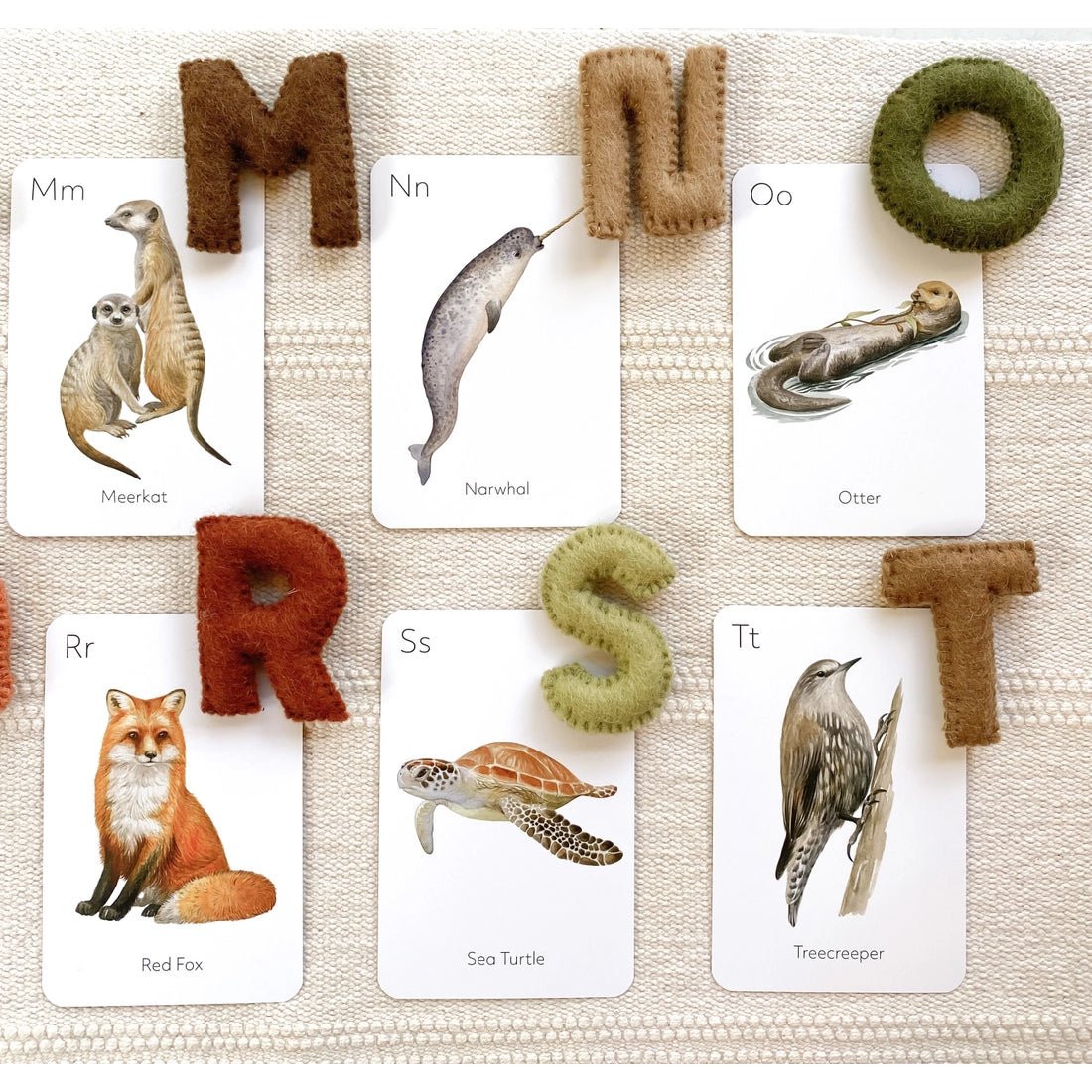 Animal ABC Flash Cards