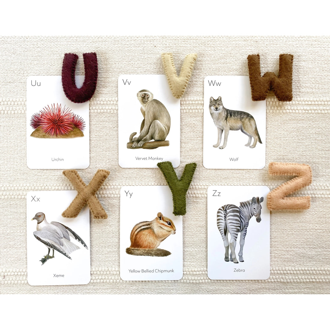 Animal ABC Flash Cards