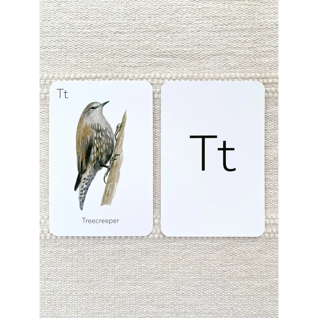 Animal ABC Flash Cards