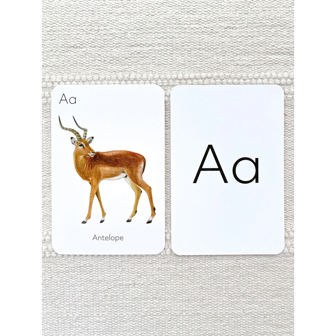 Animal ABC Flash Cards