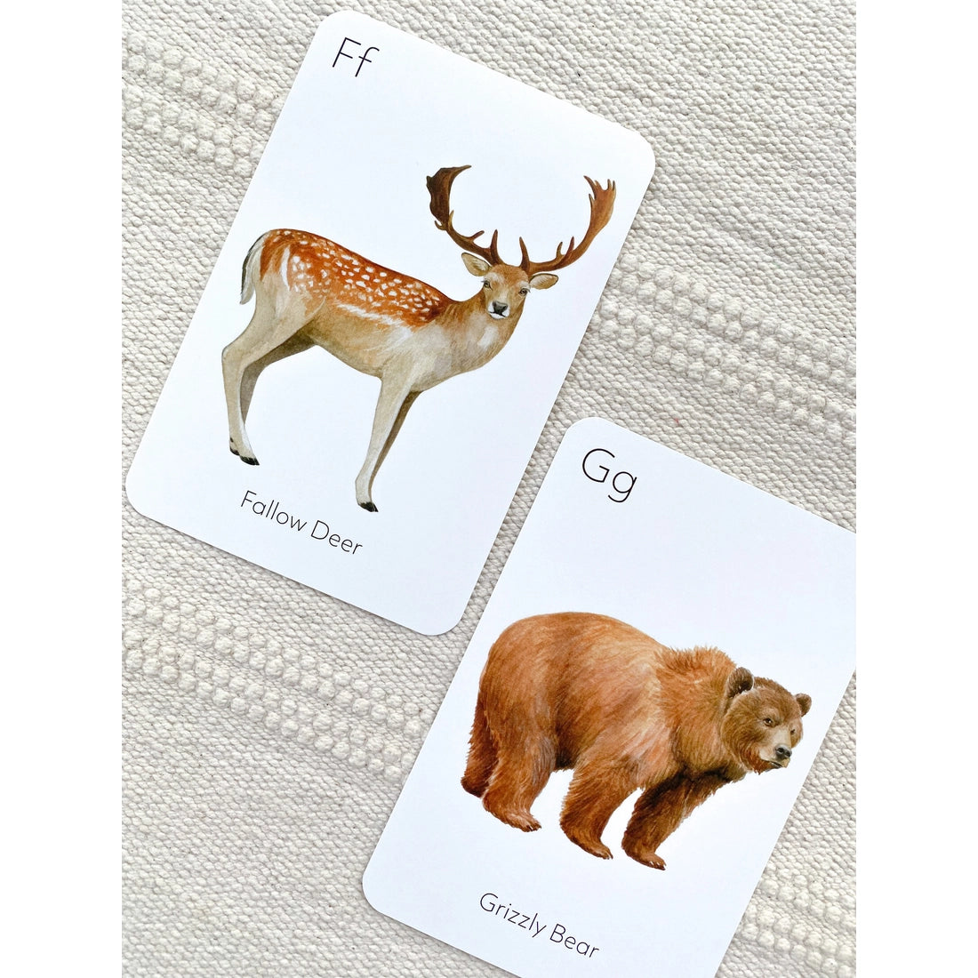 Animal ABC Flash Cards