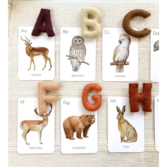 Animal ABC Flash Cards